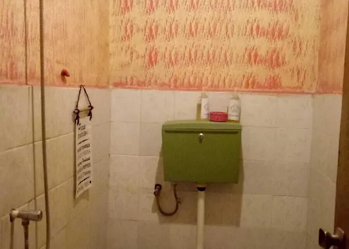 Lovina Central Hostel 罗威那