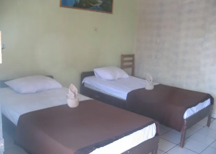 ベッド・アンド・ブレックファスト Lovina Central Hostel *
