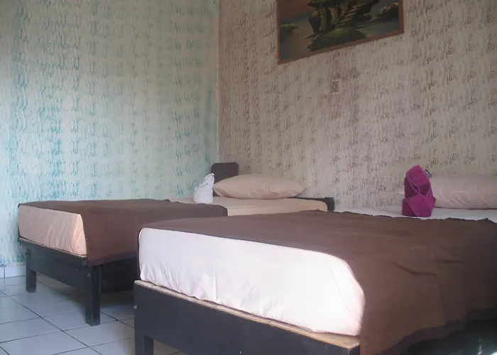 Lovina Central Hostel *