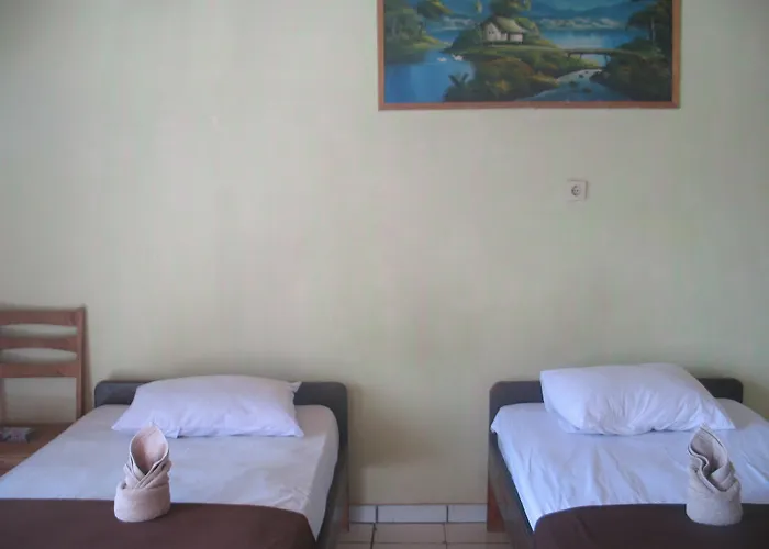 Lovina Central Hostel * ロヴィーナ