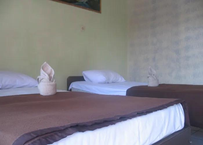 ベッド・アンド・ブレックファスト Lovina Central Hostel