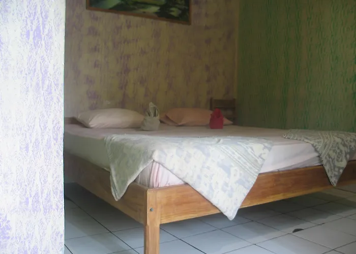 Lovina Central Hostel ベッド・アンド・ブレックファスト ロヴィーナ