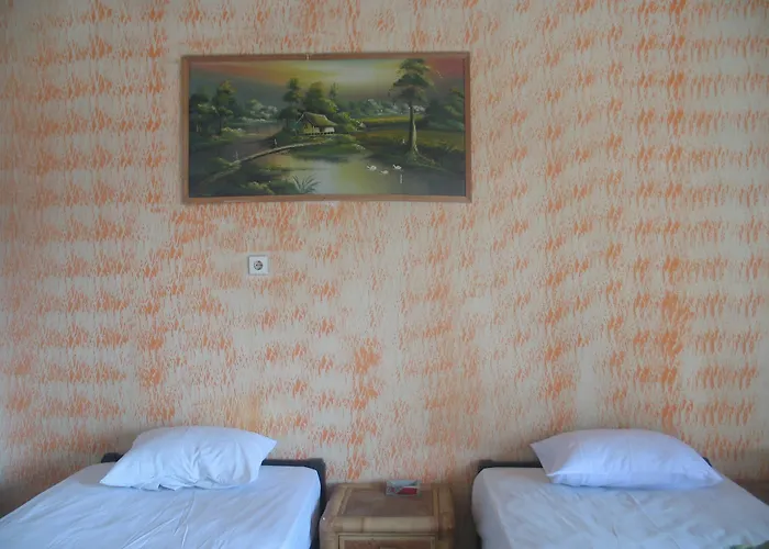 Lovina Central Hostel ロヴィーナ
