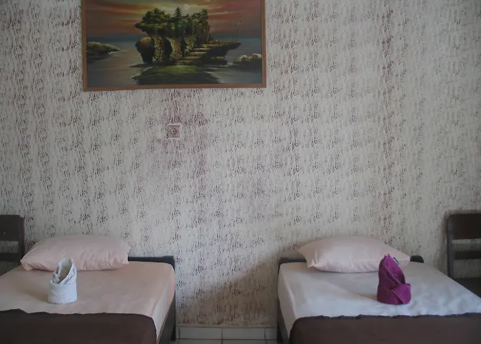 Lovina Central Hostel ベッド・アンド・ブレックファスト ロヴィーナ